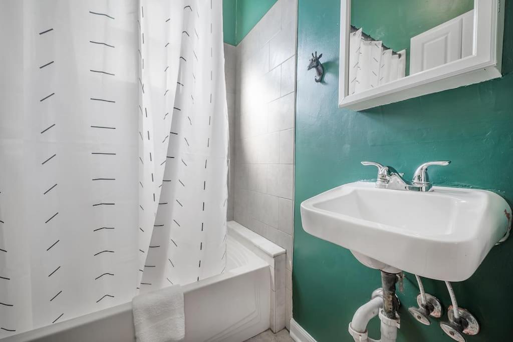 Jungle Themed Apt. Close To Coffee, Food + Shops! Tampa Extérieur photo